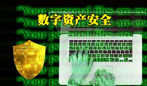 TP钱包导入丢失两币