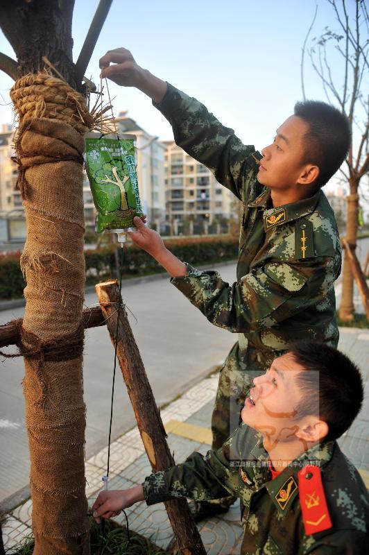 砍树木的游戏_rts游戏 麦子 砍树树_砍树游戏规则