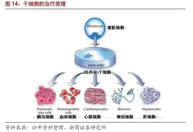 明日方舟资深干员tag搭配_明日方舟资深干员搭配支援_明日方舟资深干员词条一览