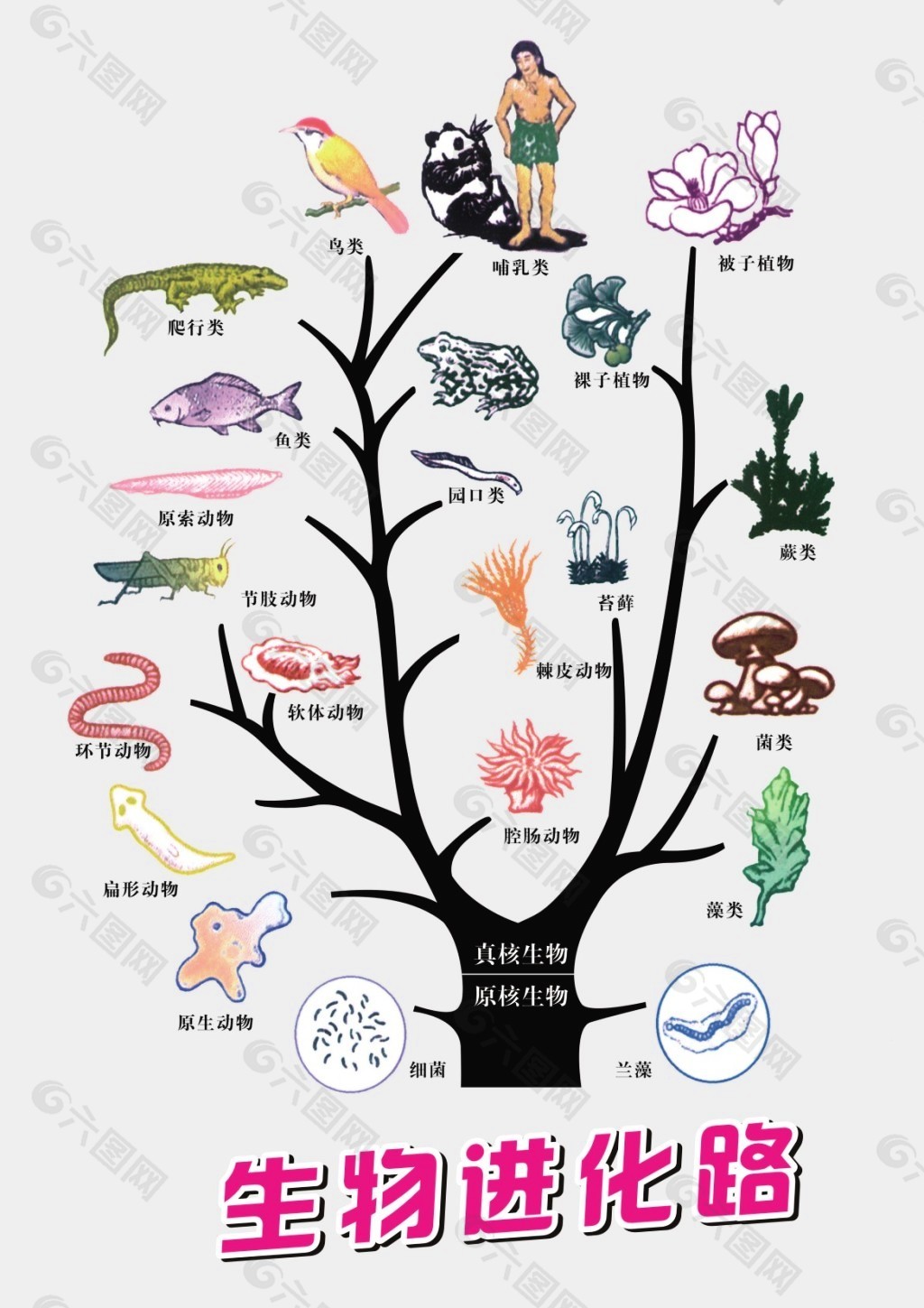 达尔文进化游戏_达尔文进化攻略_达尔文进化破解版