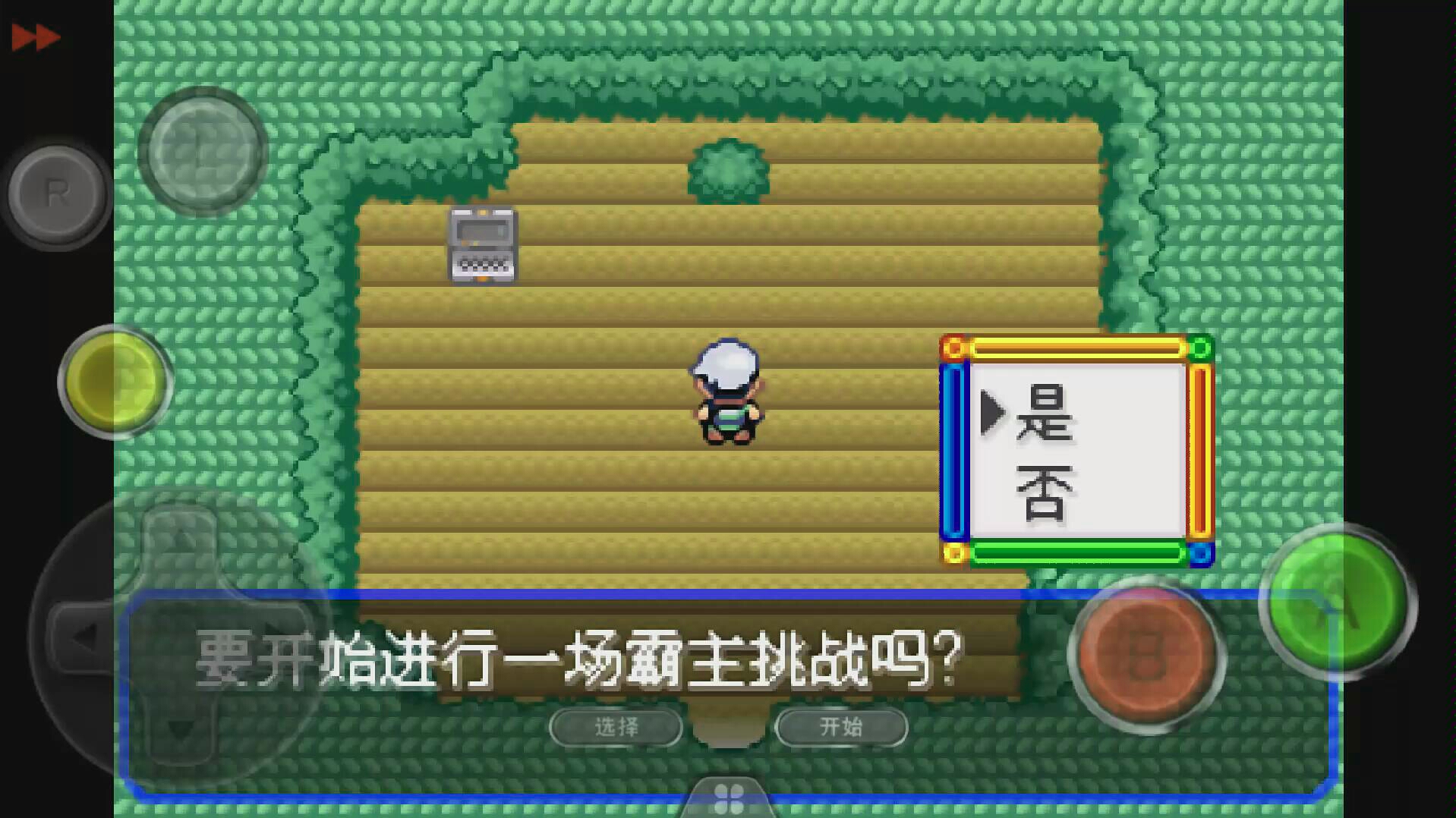 口袋妖怪金版：捕捉、培养，引领进化！