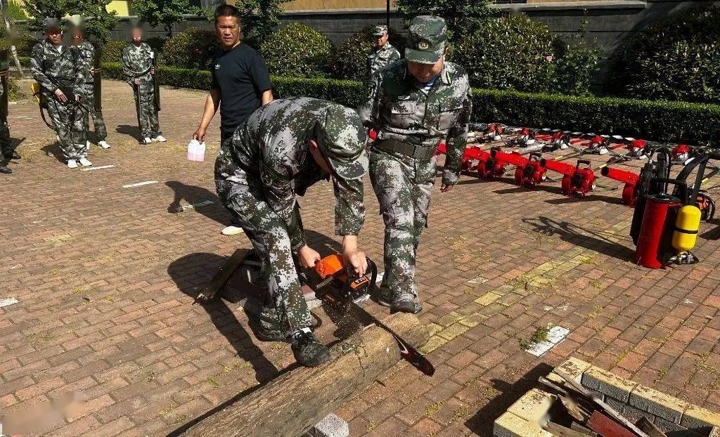 明日方舟资深干员词条一览_明日方舟资深干员tag搭配_明日方舟资深干员搭配支援