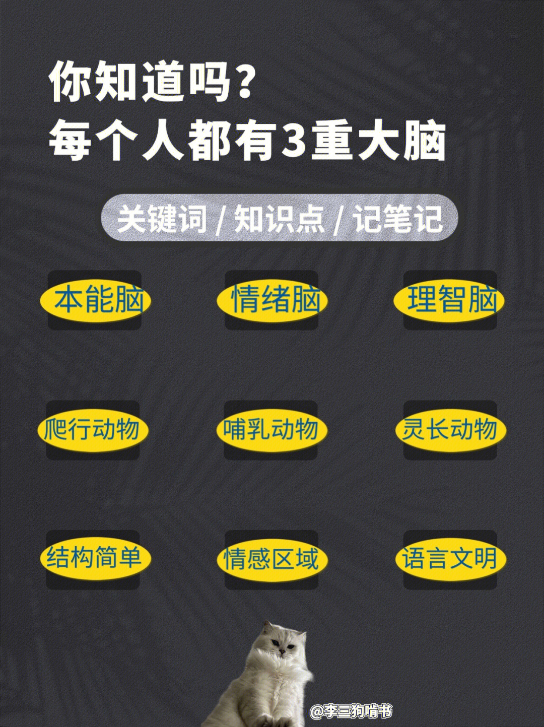 最强大脑第二季水哥视频_最强大脑水哥个人资料_最强大脑歌手选手