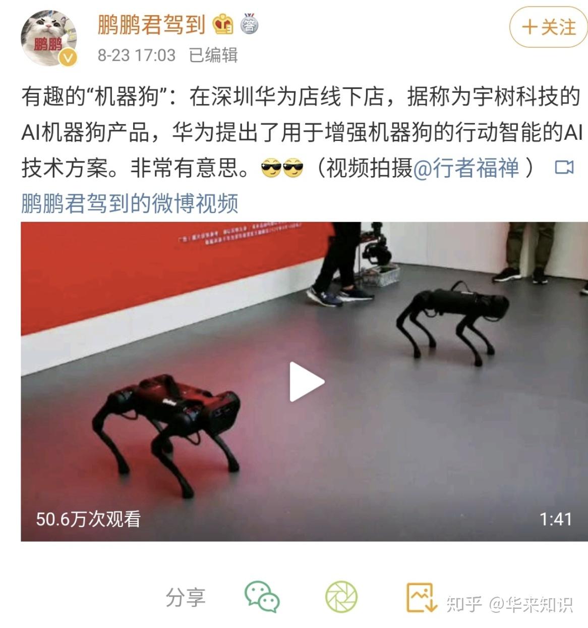 华为遛狗_华为狗图片_华为u8825d游戏狗