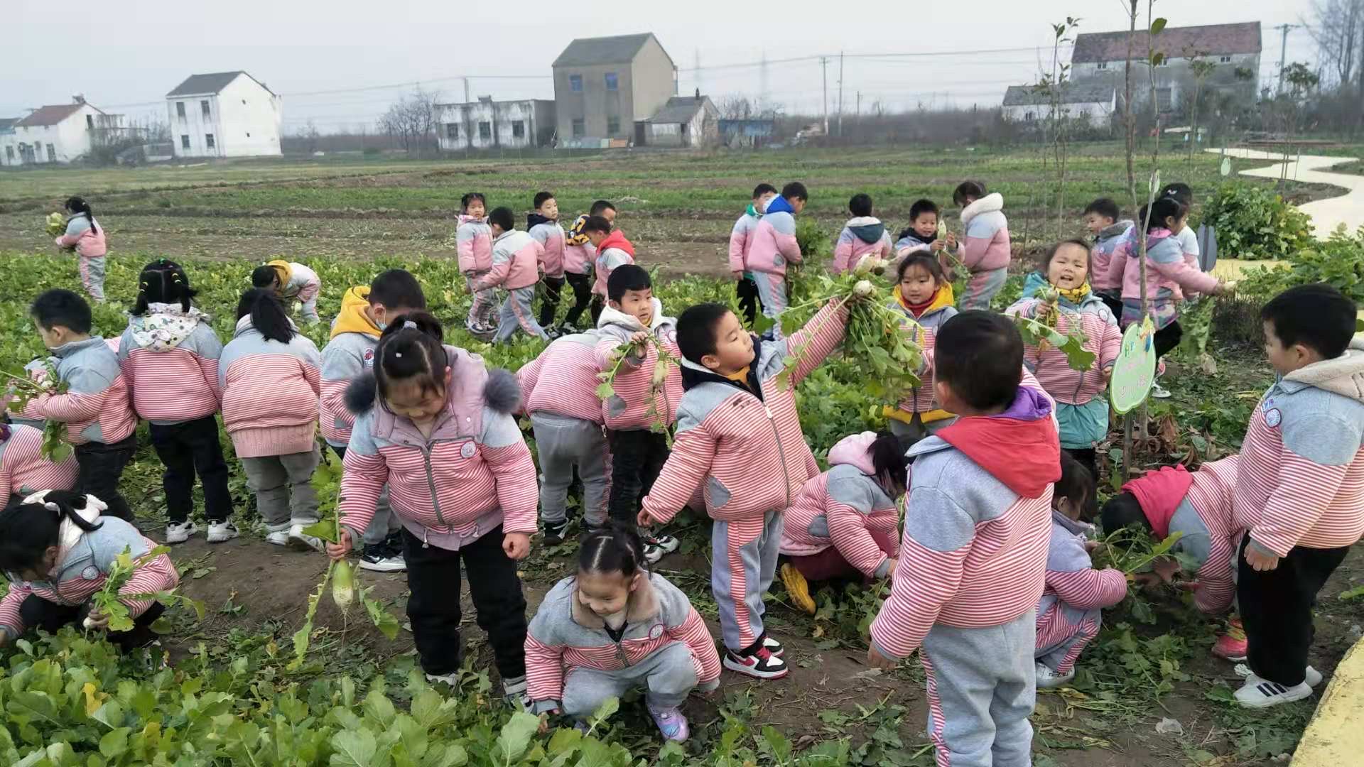 农场小游戏赚钱_小小农场生活游戏_小小农场游戏