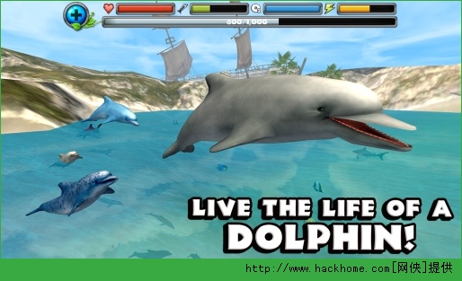 模拟器游戏_模拟器游戏手机版_dolphin模拟器