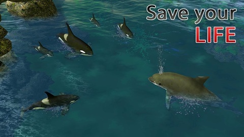 模拟器游戏手机版_模拟器游戏_dolphin模拟器
