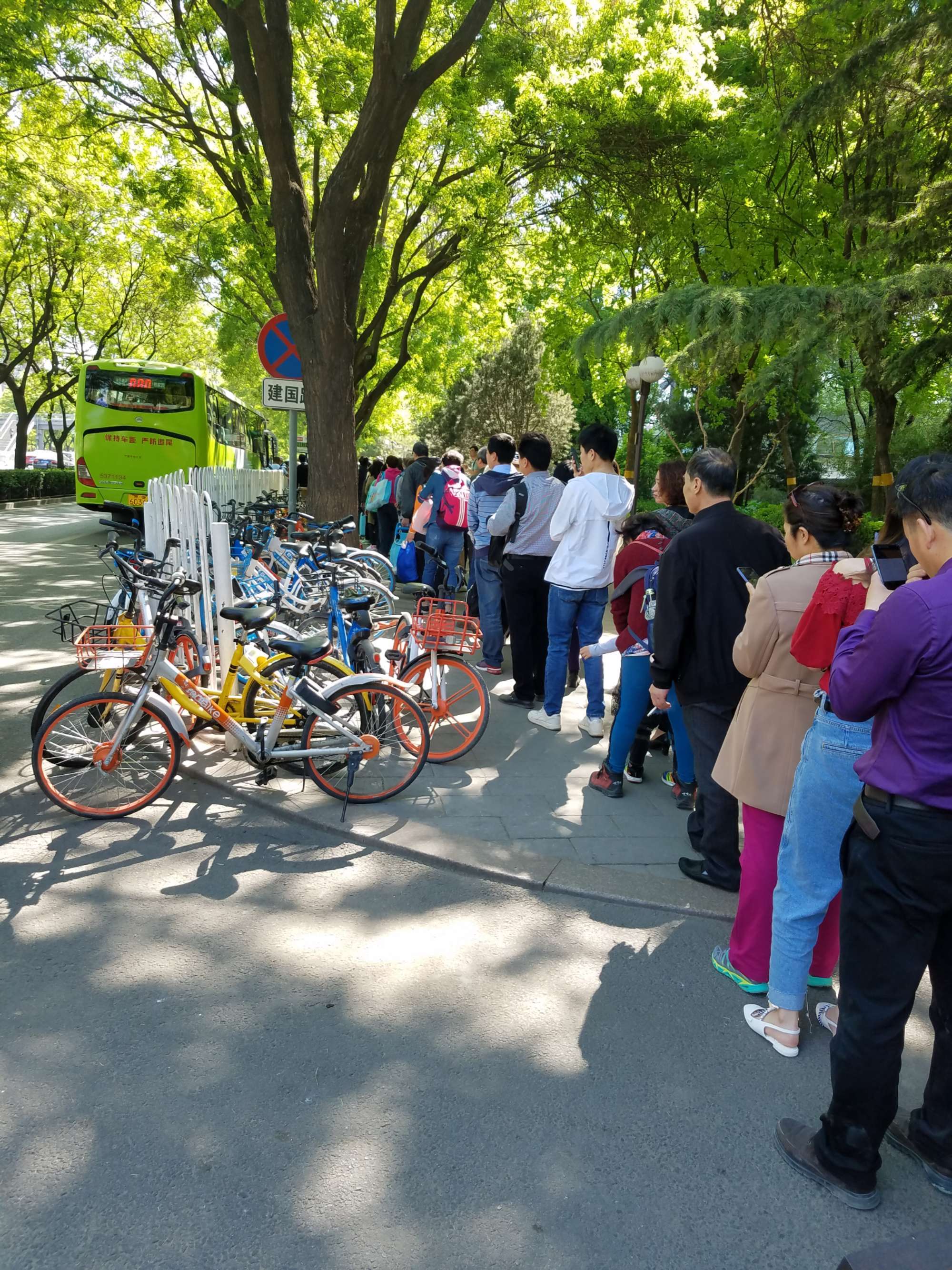 公交车路线怎么查询_37路公交车_公交车路线