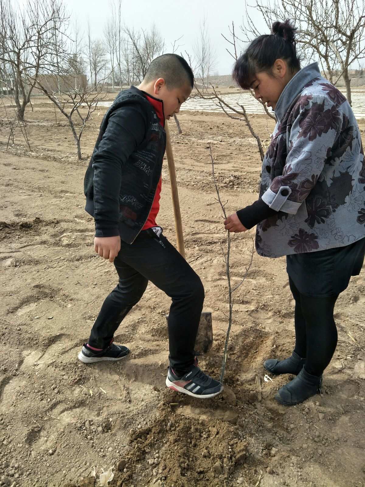 根植沃土_植根沃土的意思_植根沃土拥抱蓝天