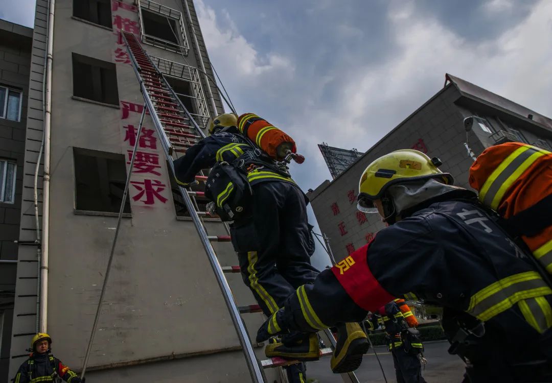 明日方舟资深干员tag搭配_明日方舟资深干员词条一览_明日方舟资深干员搭配标签