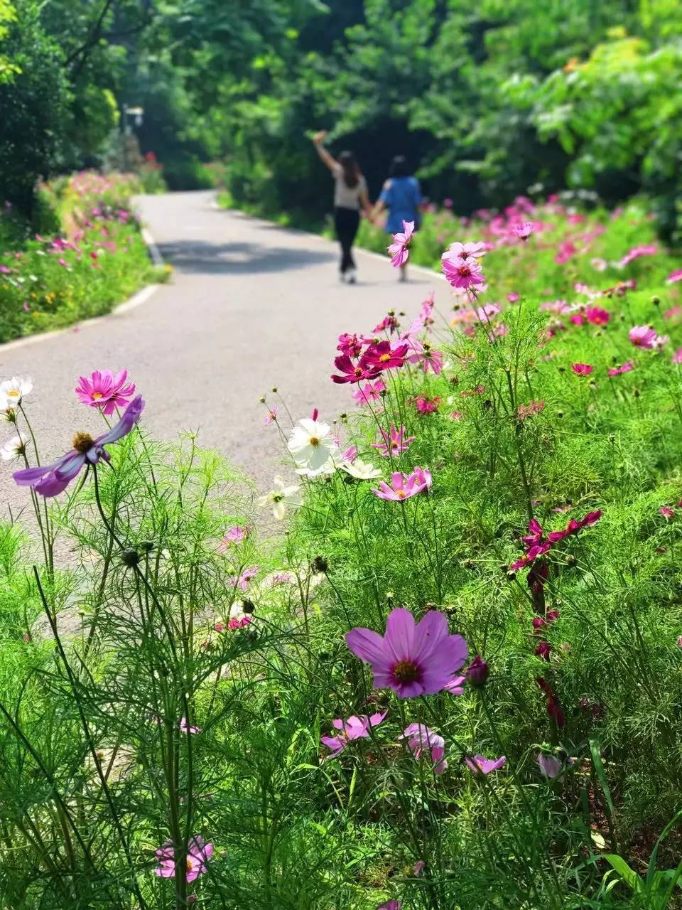 结萝和厉岩_结萝_结萝什么意思