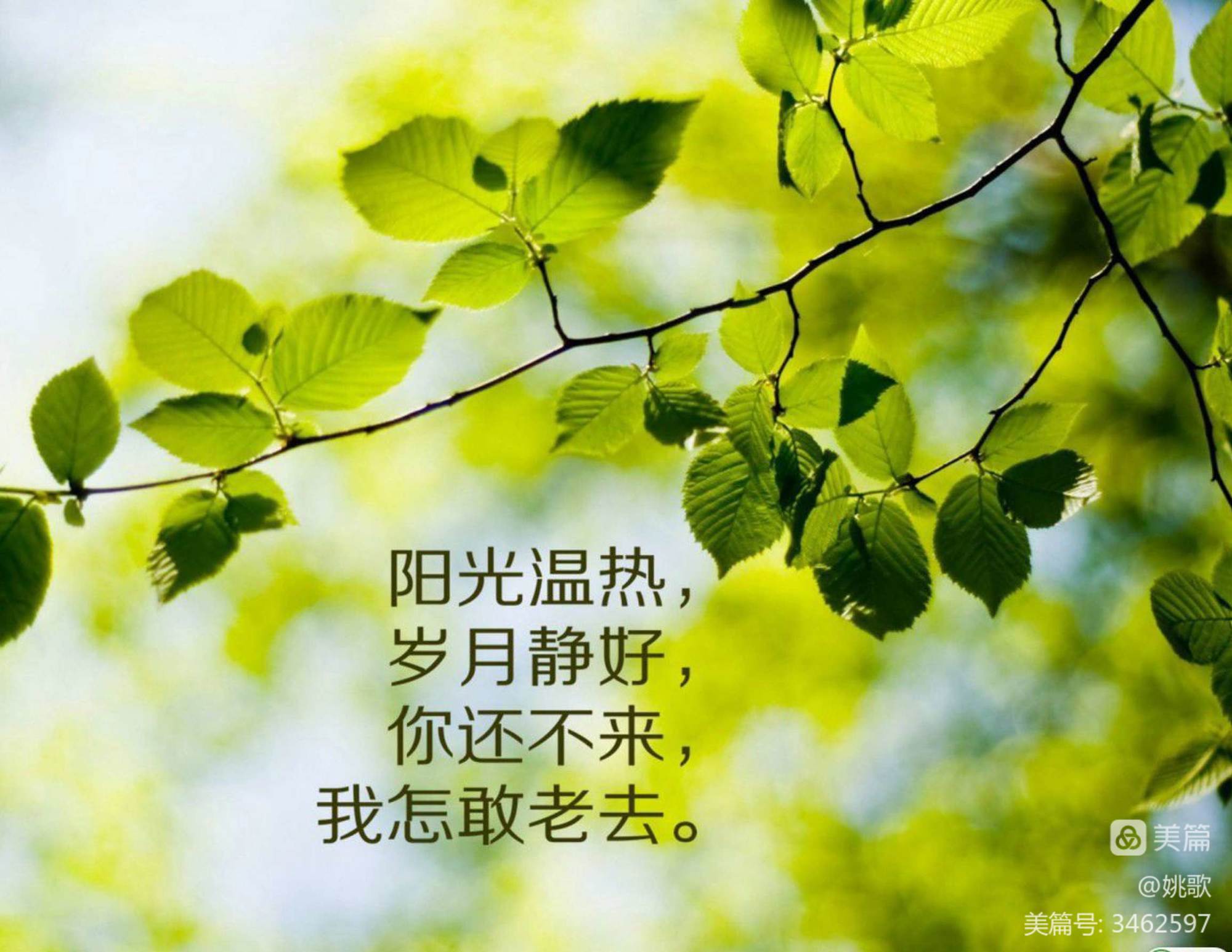 往日不再_往日时光_往日不在
