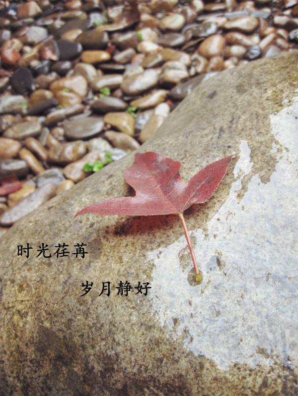 往日不在_往日不再_往日时光