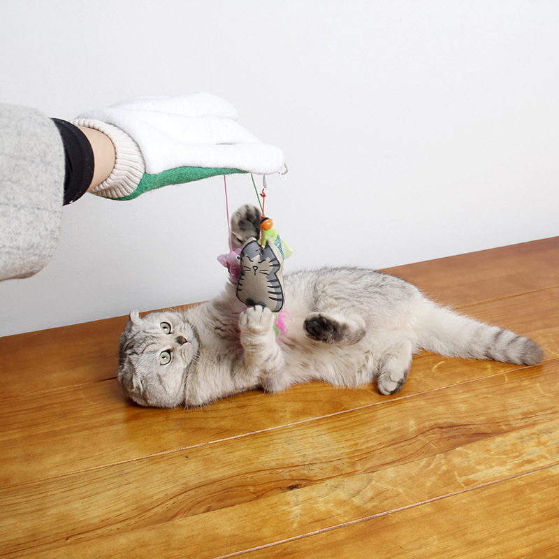 百变猫咪小q_小猫百变_百变猫咪秀