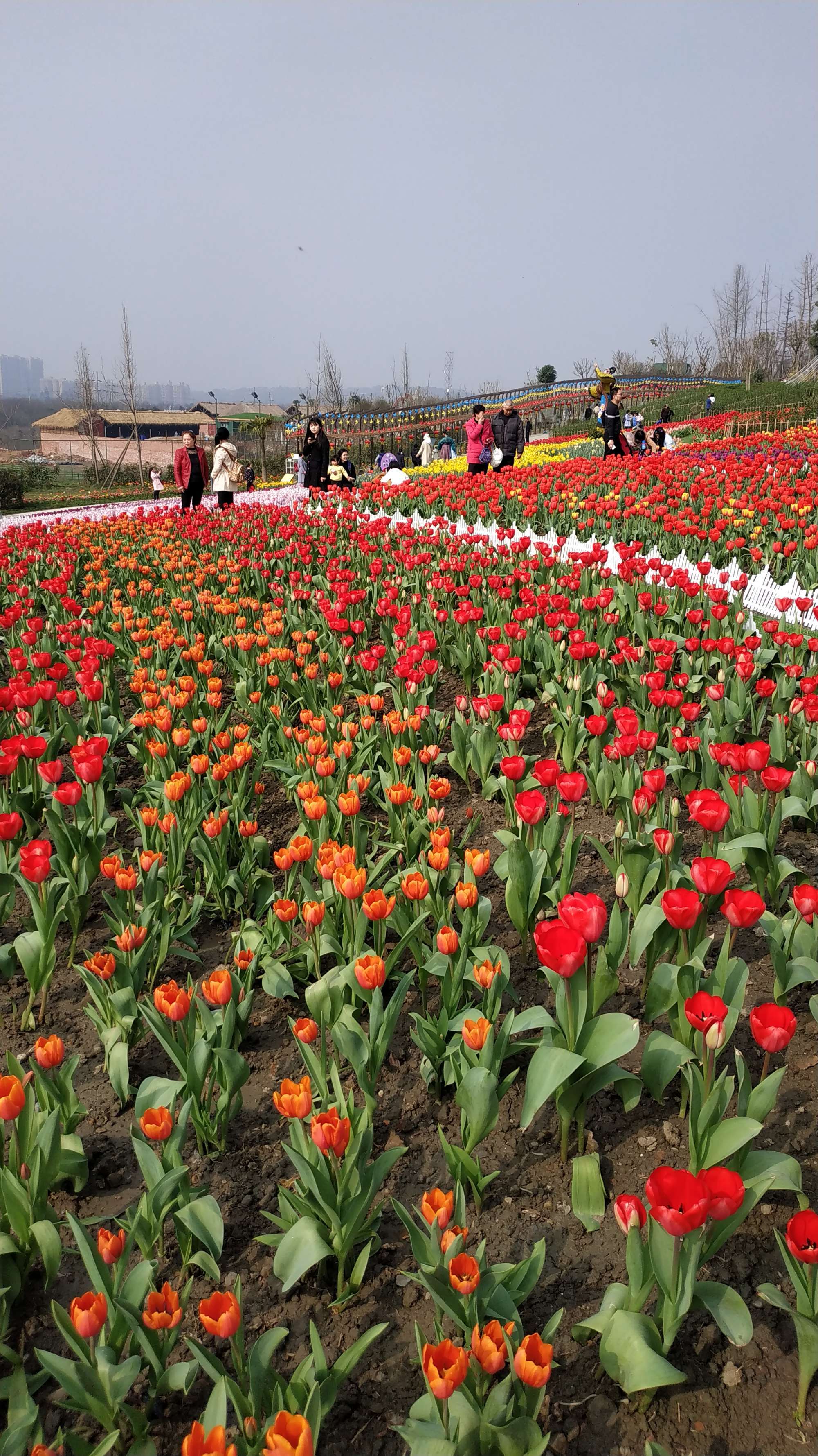 仙域百花谷加点_百花谷怎么加点_百花谷技能