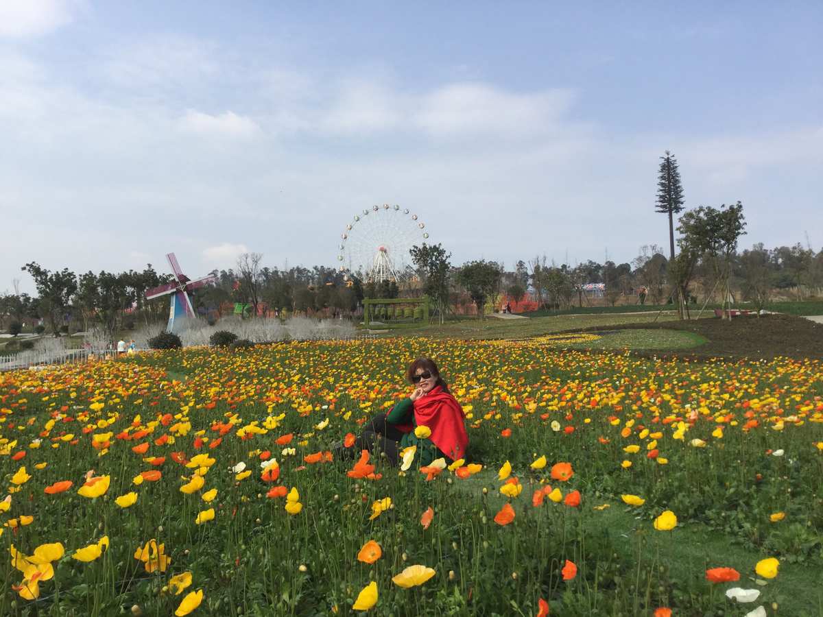 百花谷怎么加点_仙域百花谷加点_百花谷技能