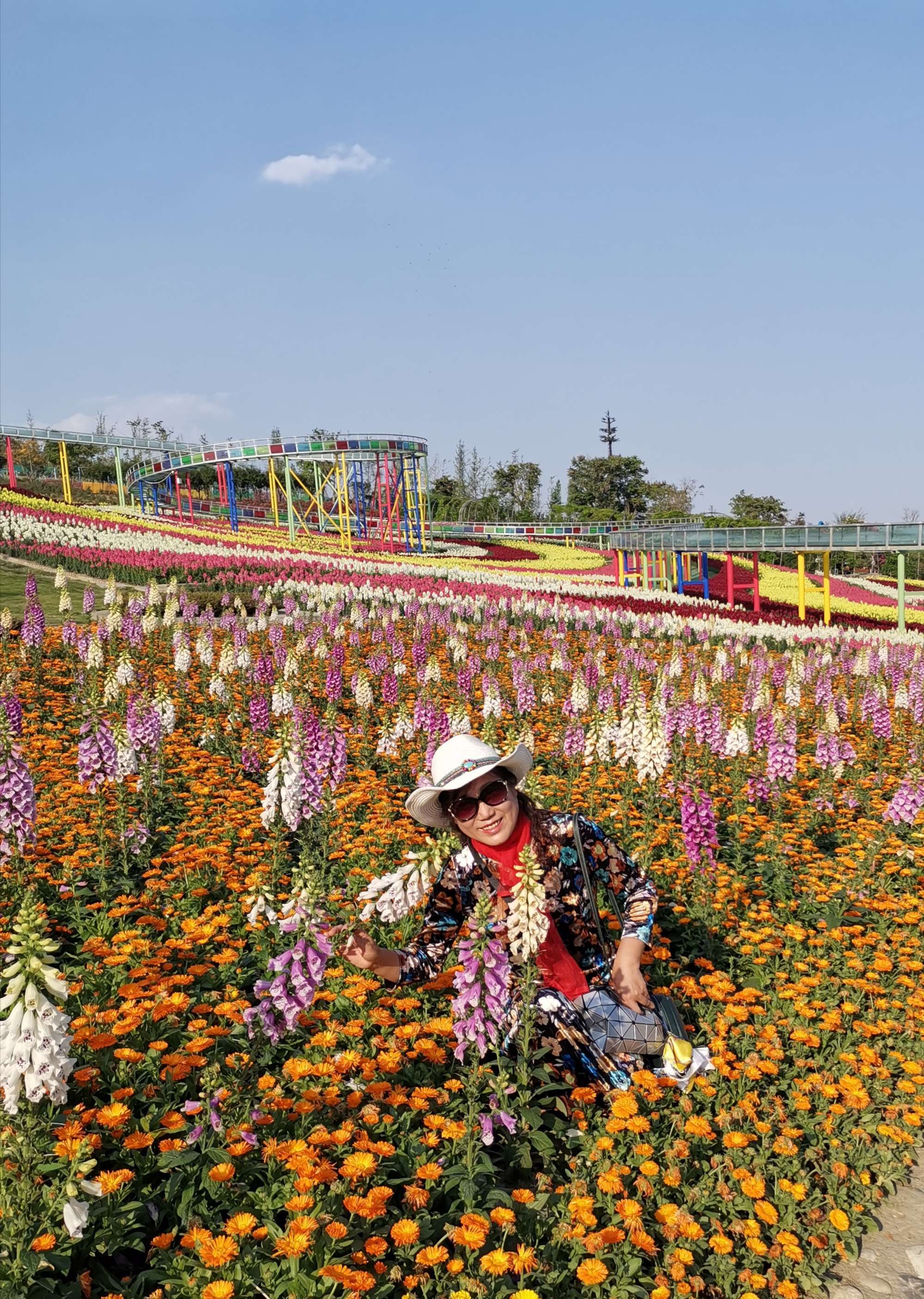 仙域百花谷加点_百花谷技能_百花谷怎么加点