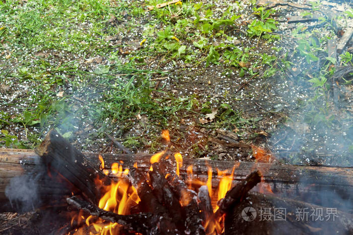 森林冰火人_森林冰火_森林冰火人表情包