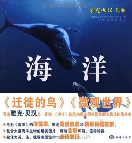 黄app免费软件下载平台：开启全新世界