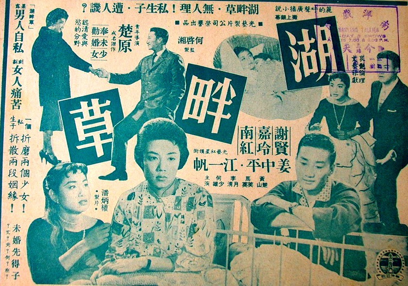 清草视频：奇妙冒险之旅