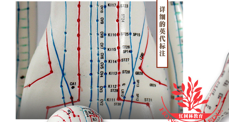 针推什么意思_意针疗法_推针是什么意思