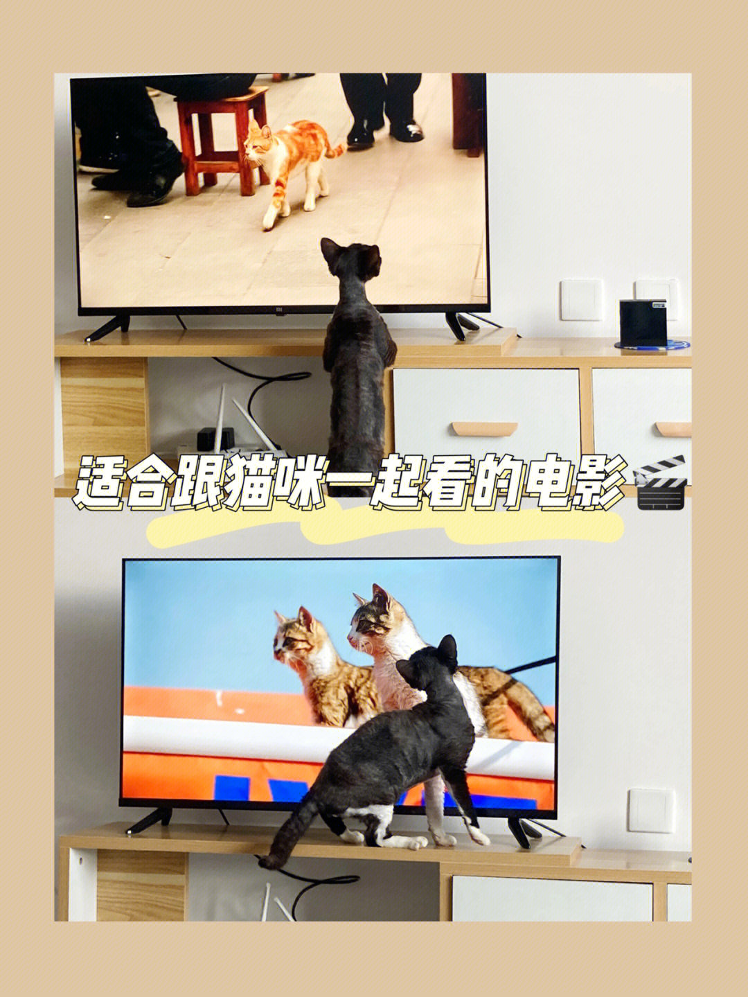 穿靴子的猫2免费观看_快猫免费观看完整版高清_娜塔莉整版免费观看