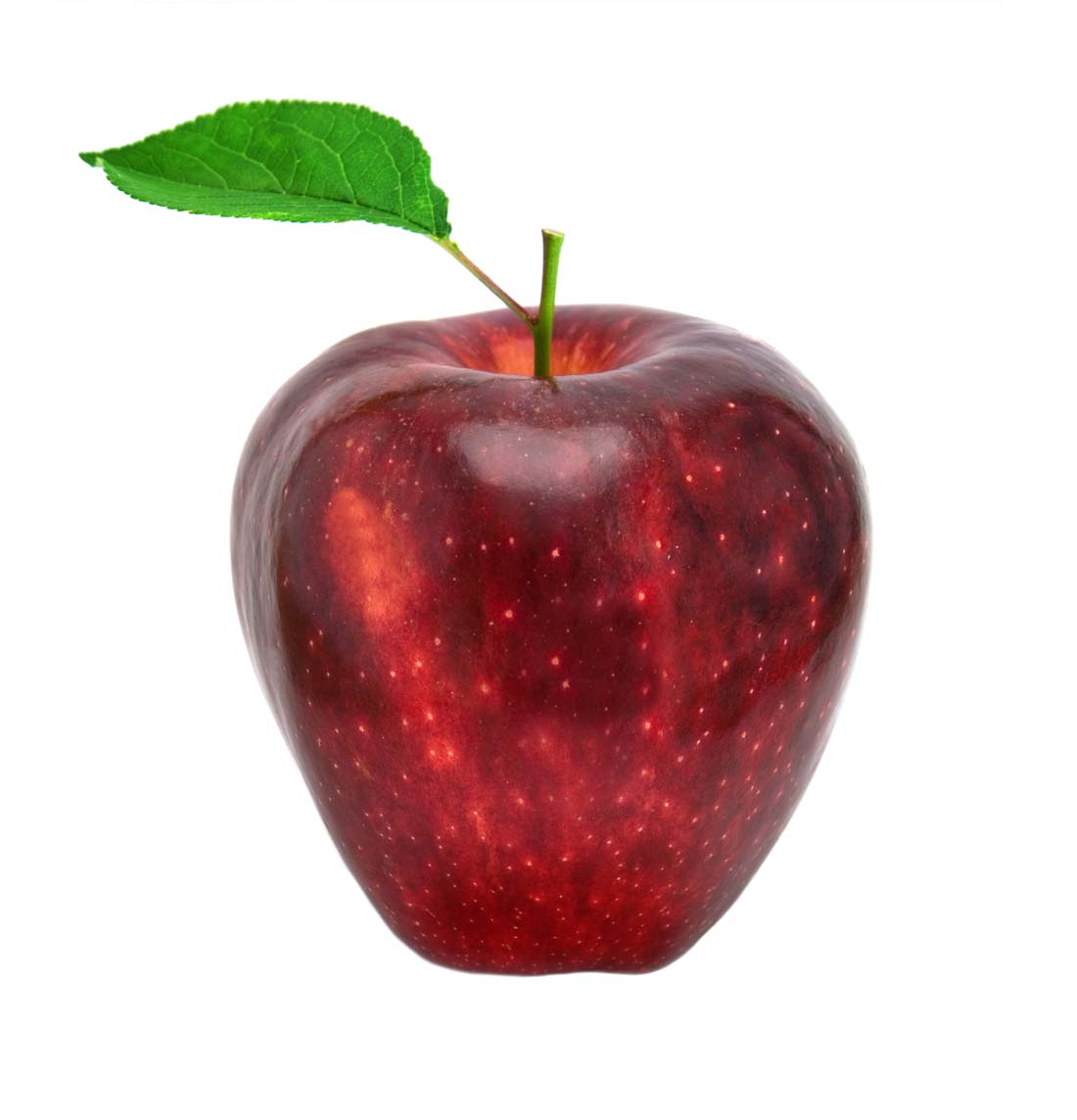 苹果ins账号怎么注册_苹果ins_苹果ins怎么弄