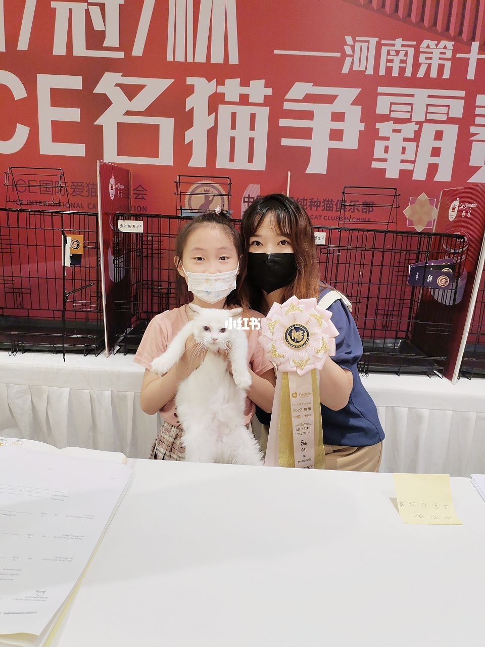 招猫喜欢的人意味着什么_招才猫_招猫逗狗是什么意思