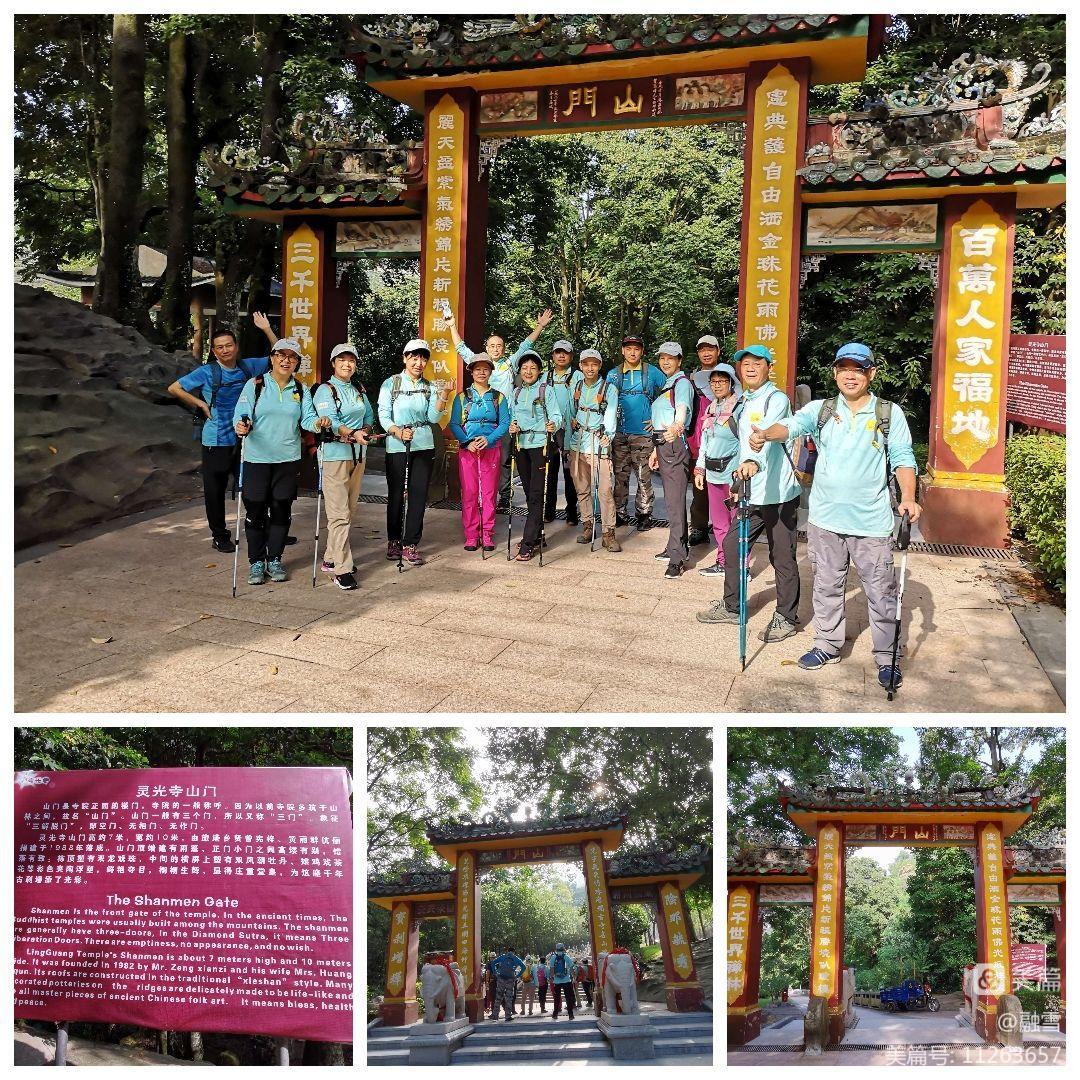 老山龙_老山龙_老山龙