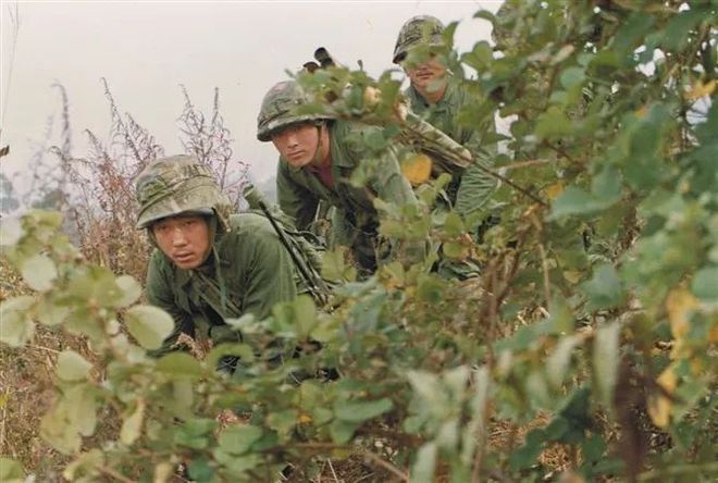 老山龙_老山龙_老山龙