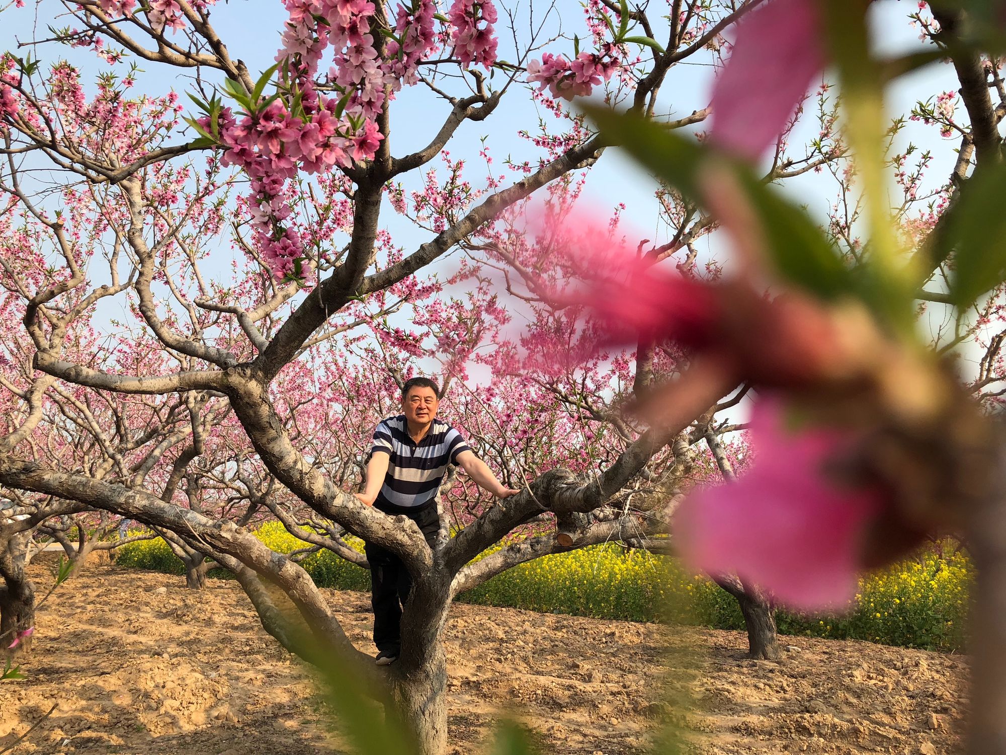 桃花视频性视频_桃花视频性视频_桃花视频性视频