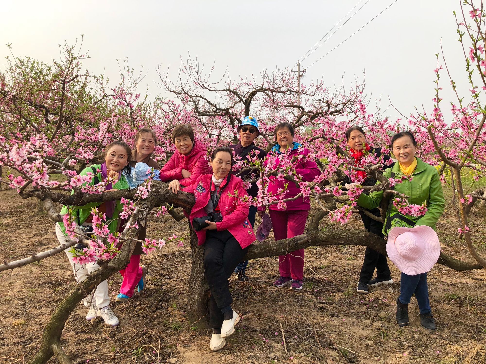 桃花视频性视频_桃花视频性视频_桃花视频性视频