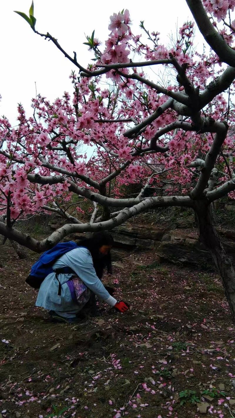 桃花视频性视频_桃花视频性视频_桃花视频性视频