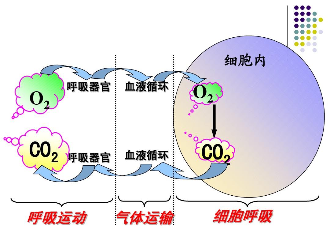 脉微欲绝是什么意思_微脉_脉微欲绝是什么脉象