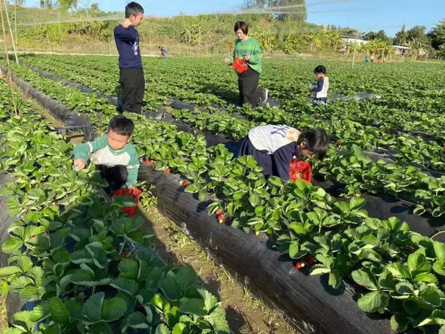 手机游戏模拟类游戏推荐_游戏模拟类推荐手机软件_模拟游戏有哪些好玩的手机