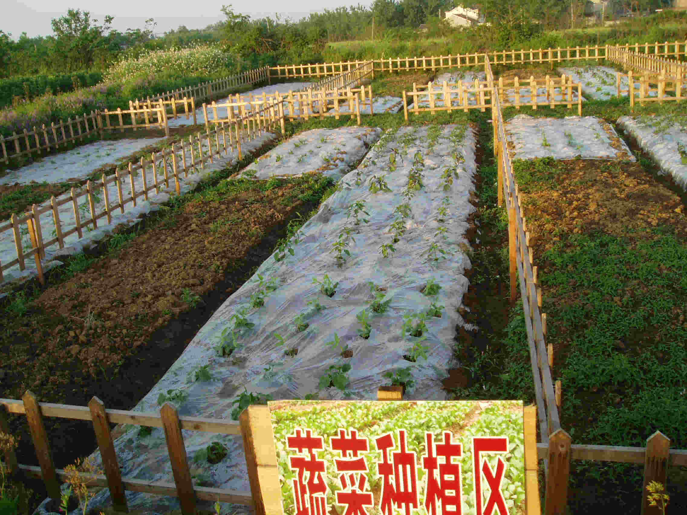 模拟游戏有哪些好玩的手机_手机游戏模拟类游戏推荐_游戏模拟类推荐手机软件