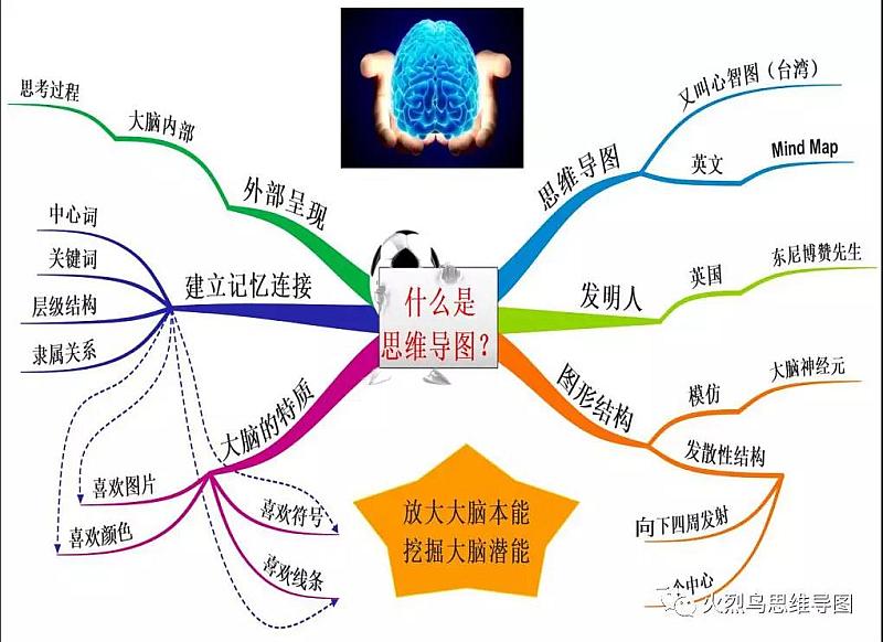 制作思维导图的手机游戏_导图思维软件_导图思维怎么画