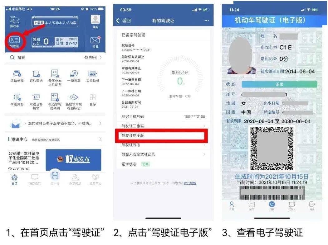 驾驶证申请电子驾照_驾驶证电子申请版怎么申请_怎样申请电子版驾驶证