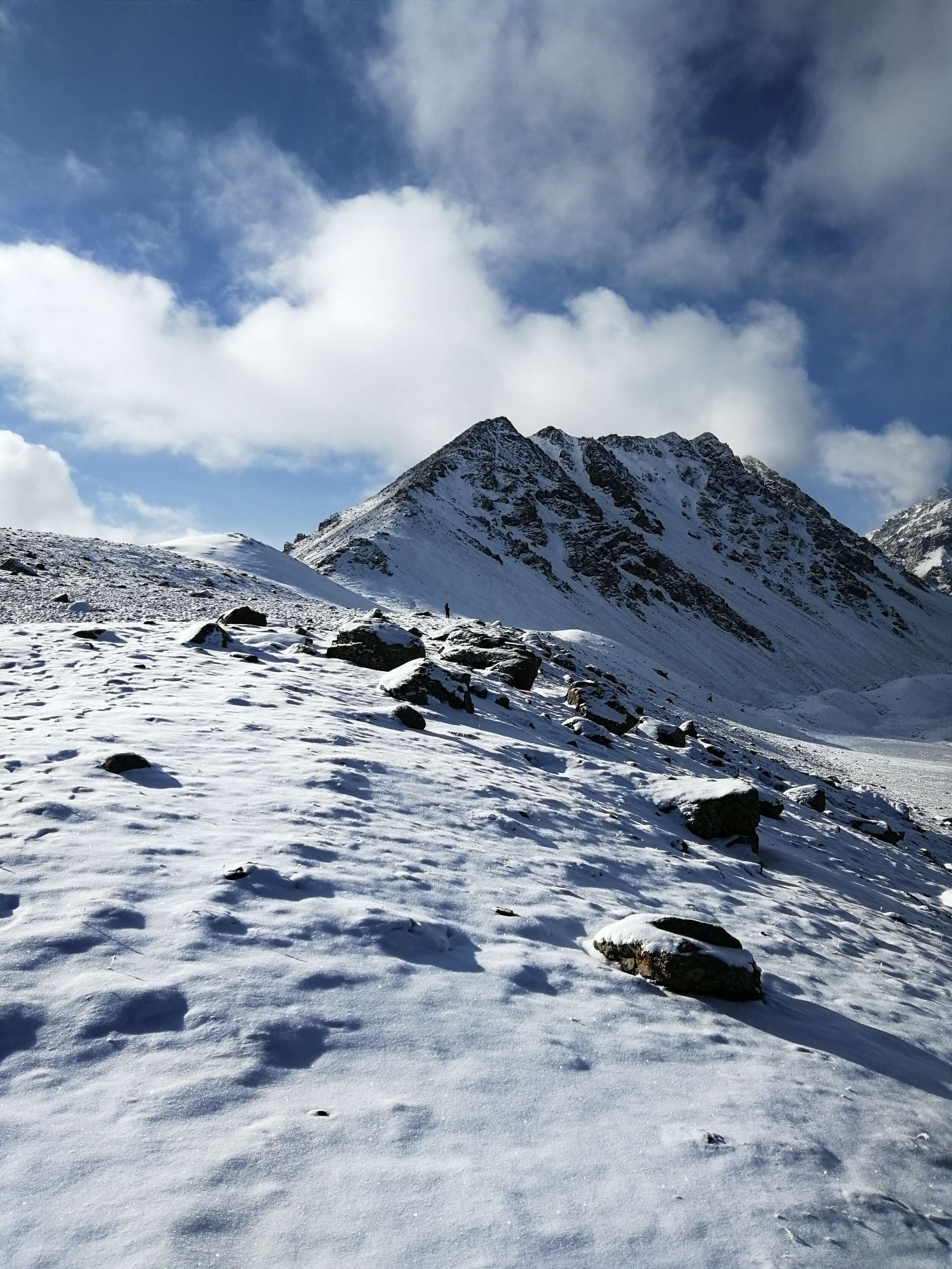 雪山生存手机游戏怎么玩_雪山生存电影_手机雪山生存游戏