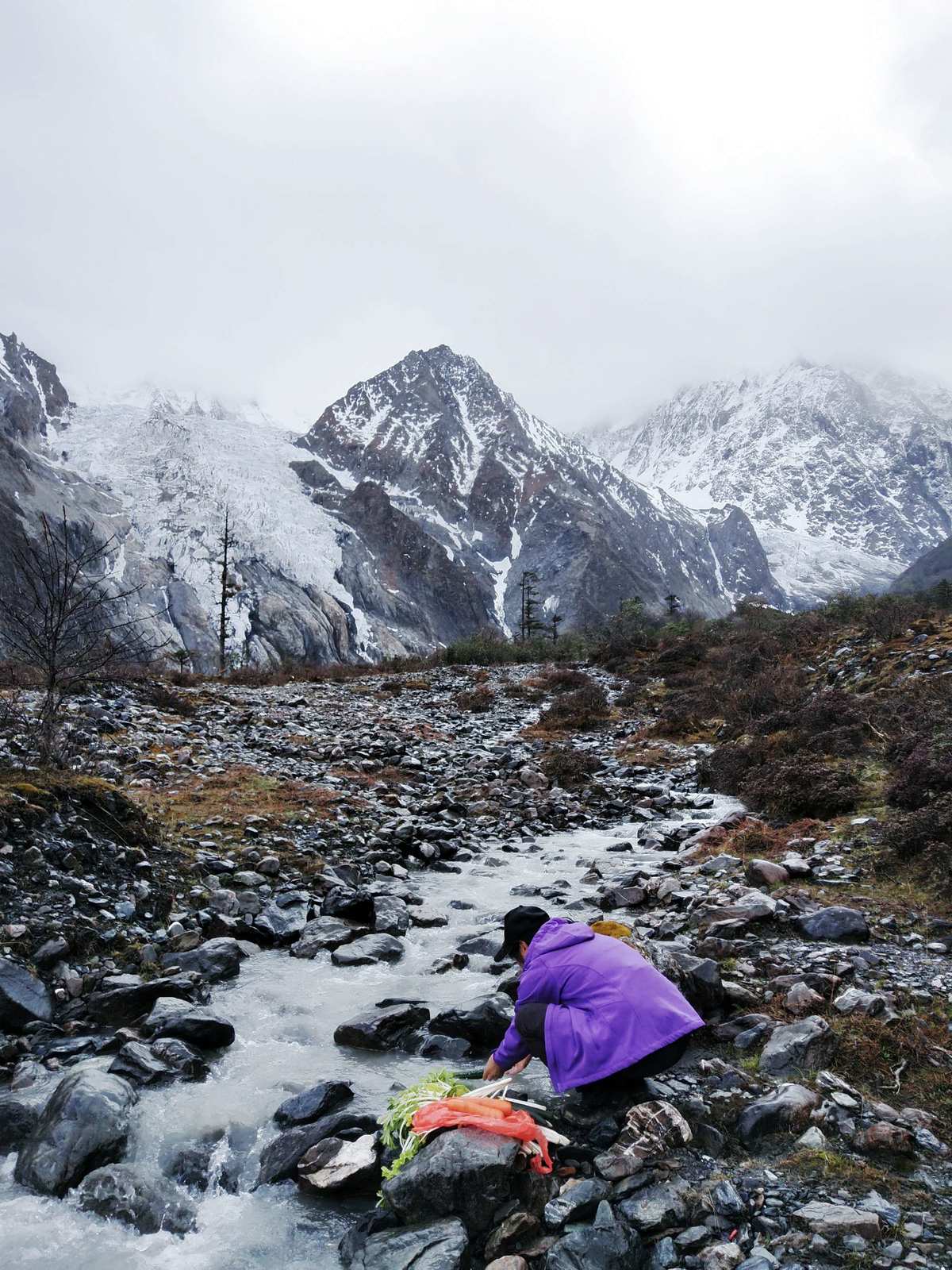 手机雪山生存游戏_雪山生存手机游戏怎么玩_雪山生存电影