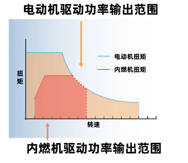 号脉能号出肾阳虚和肾阴虚吗_5月11号_号脉是什么意思