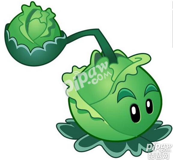 卷心菜游戏视频_手机游戏卷心菜_卷心菜游戏规则