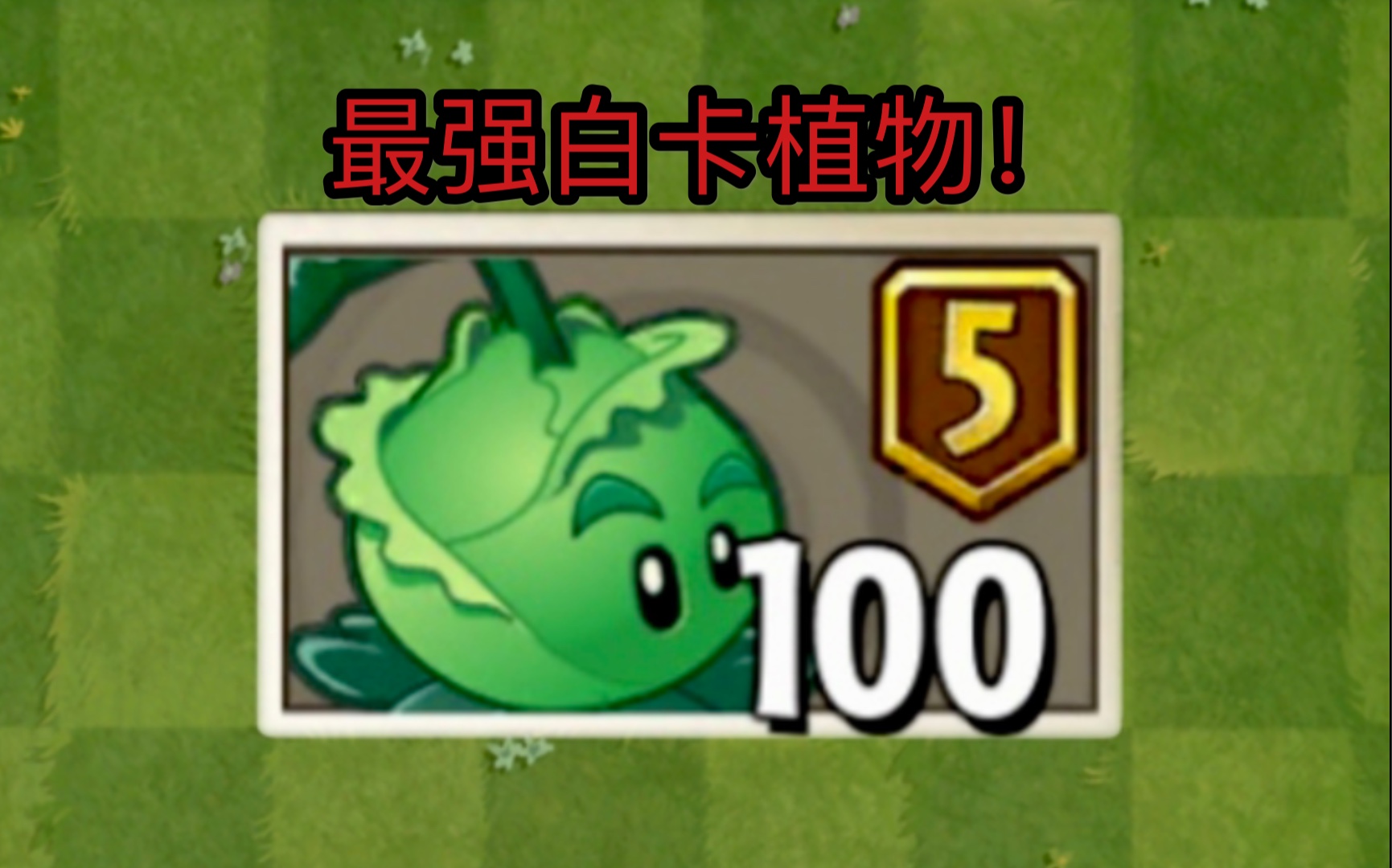 手机游戏卷心菜_卷心菜游戏规则_卷心菜游戏视频