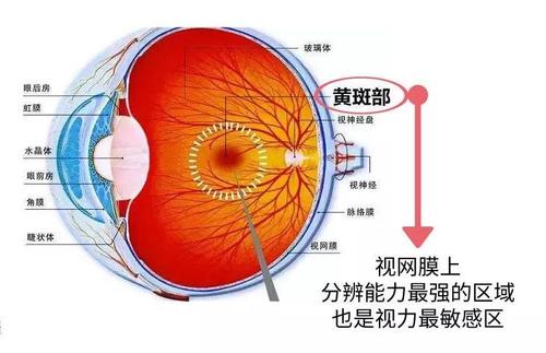 长时间玩手机游戏眼睛模糊_眼睛玩游戏_手机游戏对眼睛有影响吗