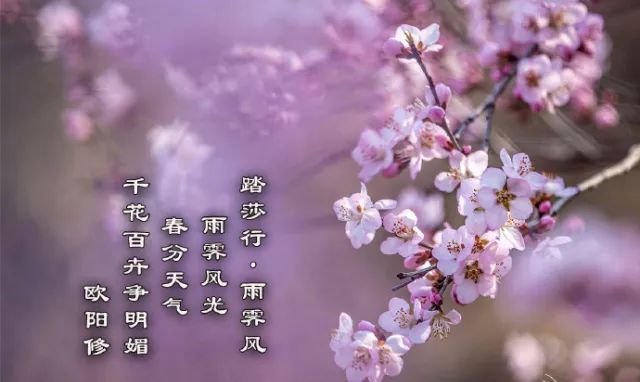 重生1991_1991年现在多大了_1991
