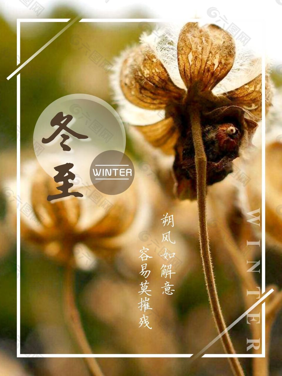 冬至快乐说说大全_冬至快乐说法对吗_冬至不能说快乐