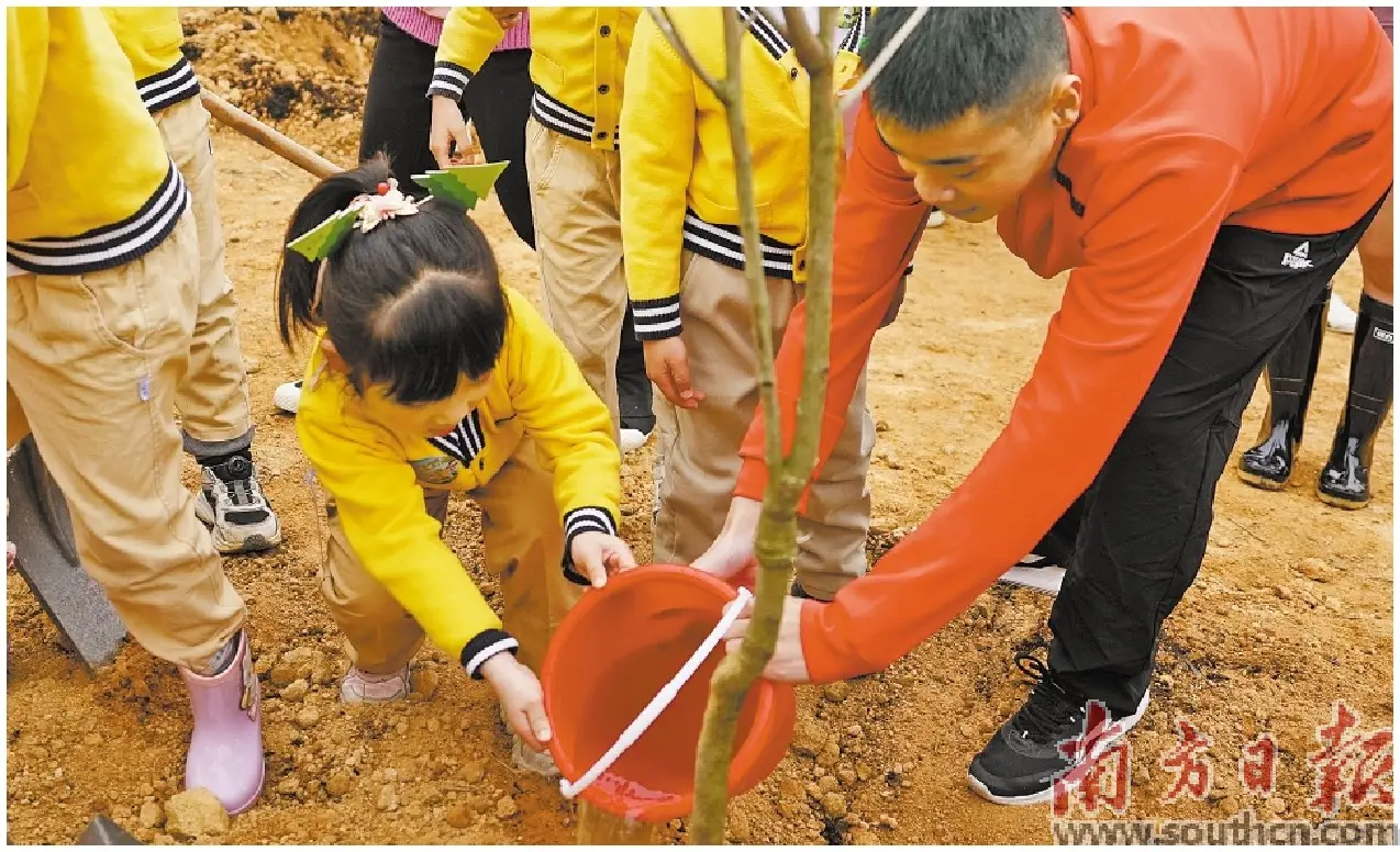 植树节的来历是什么意思_植树节的来历_来历植树节的来历