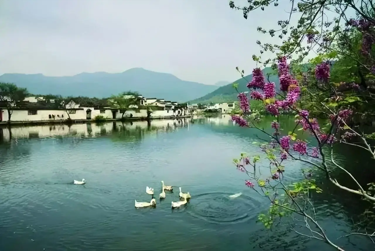 青天井_天井青苔怎么去除_天井青花瓷