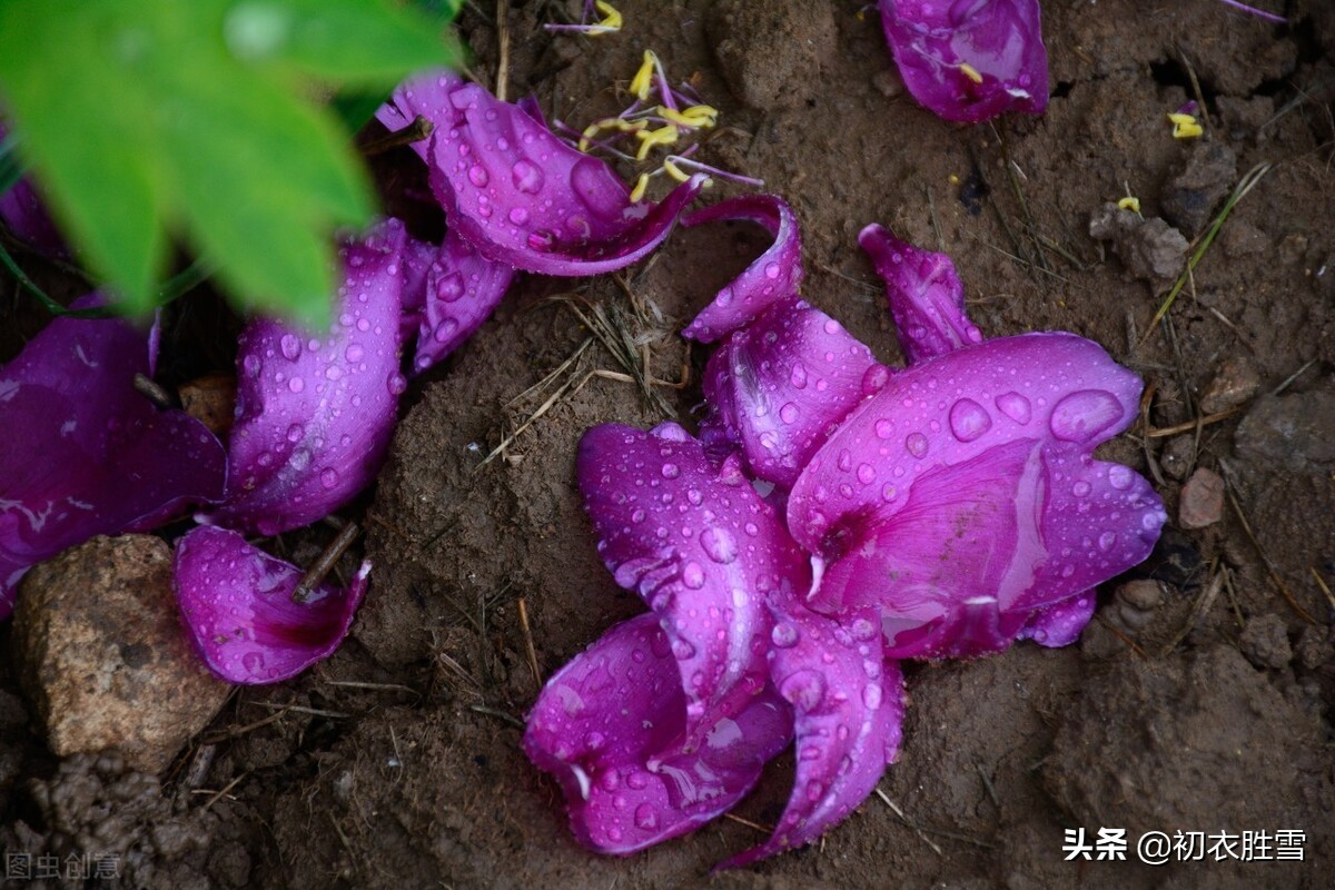 寒食节和清明节的关系_寒食节和清明节有什么关联_清明清明节寒食节三者的区别