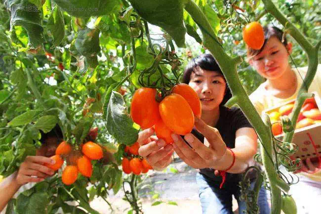 手机游戏忘记了账号怎么找回_手机游戏忘了吧_手机游戏设置密码忘记了怎么办